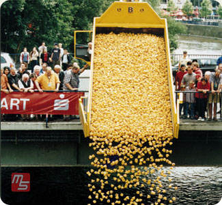 Great American Duck Race